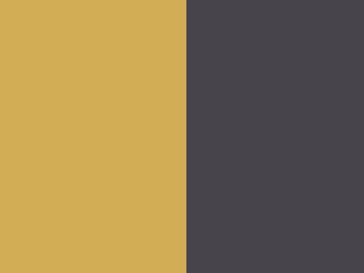 yellow/slate grey
