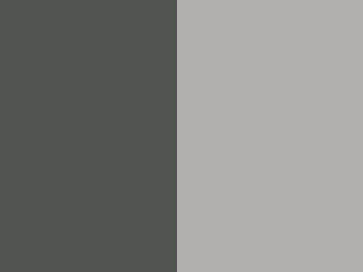 slate grey/light grey